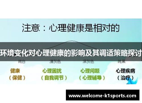 环境变化对心理健康的影响及其调适策略探讨