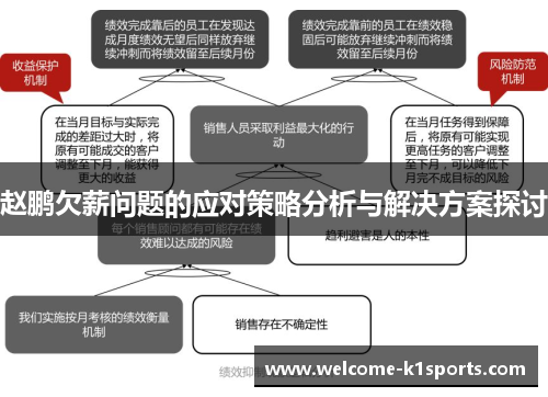 赵鹏欠薪问题的应对策略分析与解决方案探讨